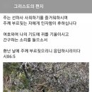 선하사 이미지