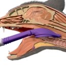 이리온 동물메디컬센터 이미지