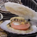 황금돼지PC 이미지