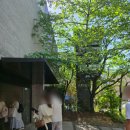 압구정로데오 젠틀몬스터 하우스 노웨어 도산 팝업스토어 마르지엘라 안경 선글라스 피팅후기