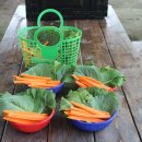 완주농장 이미지