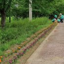 곡교천로 이미지