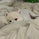진성재활용 이미지