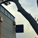 남나리전복 이미지