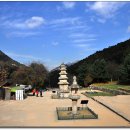 중원-95 Daum카페