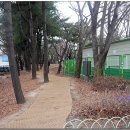 황새울교 앞 티스토리