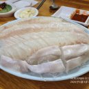 전농동 성당 앞 청정수산 후기｜광어회와 산오징어, 동네 손님 많은 전농로터리시장 횟집