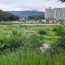 매산농장 이미지