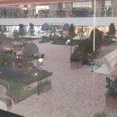 현대고기백화점 이미지