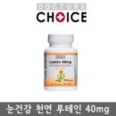 닥터스초이스