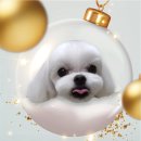 러브펫살롱 이미지