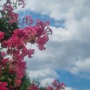 도봉-쌍문-도봉-1365 이미지