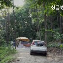 싱글벙글캠핑장 이미지