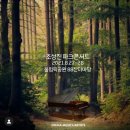 파크콘서트 이미지