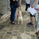 멍스퀘어 이미지