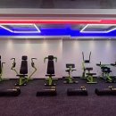 써킷일레븐11(써킷11) 이미지