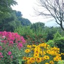 동물보육원 이미지