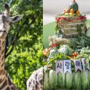 에버마루 이미지