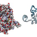 아워스한의원 이미지