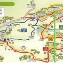 서귀포자연휴양림3 이미지