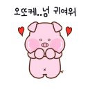 마이마트 이미지