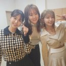 금잔디 카카오 검색결과