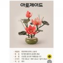 보덕주