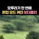 댕댕이들 더워서 저러는 거냥 이미지