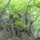원동축산