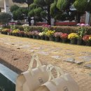 풍향초등학교 | 광주 북구 풍향초등학교 답례품 50구