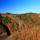 인제 수산리 자작나무숲과 오토캠핑-181104-1 이미지