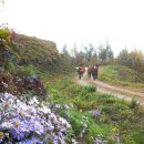 금정역 신협 앞 이미지