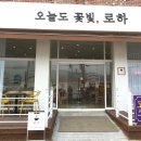 오늘도꽃빛;로하