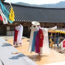 천도장묘 네이버블로그