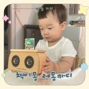 영어동화 책놀이(초등) | [돌선물 추천] 책이몽 레몽카디💛 성경동화&amp;말씀송 음질까지 솔직후기