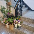 코코모펜션 이미지