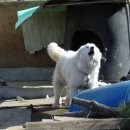 현태농장 이미지