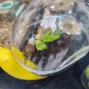 영농조합법인 누리생태원 이미지