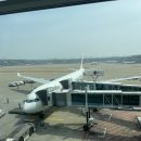 샹하이탄 | 중국동방항공 기내식 인천에서 상하이 MU5042 후기 배터리규정은?