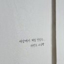 빵익선