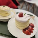 수플레닛 이미지