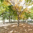 물결캠핑장 이미지