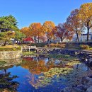 설성공원 이미지