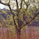 금광오산로 이미지