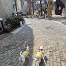 우쭈쭈애견샵 | (파주여행) 애견동반 코스 총정리!헤이리마을부터 임진각까지 알찬하루코스(맛집+숙소+술집)