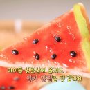 탐나는피자 이미지