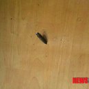 삼부연로 이미지