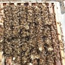 호운농장 이미지