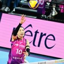 김연경 카카오 검색결과