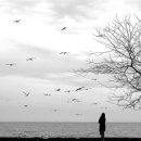 석양의추억 이미지